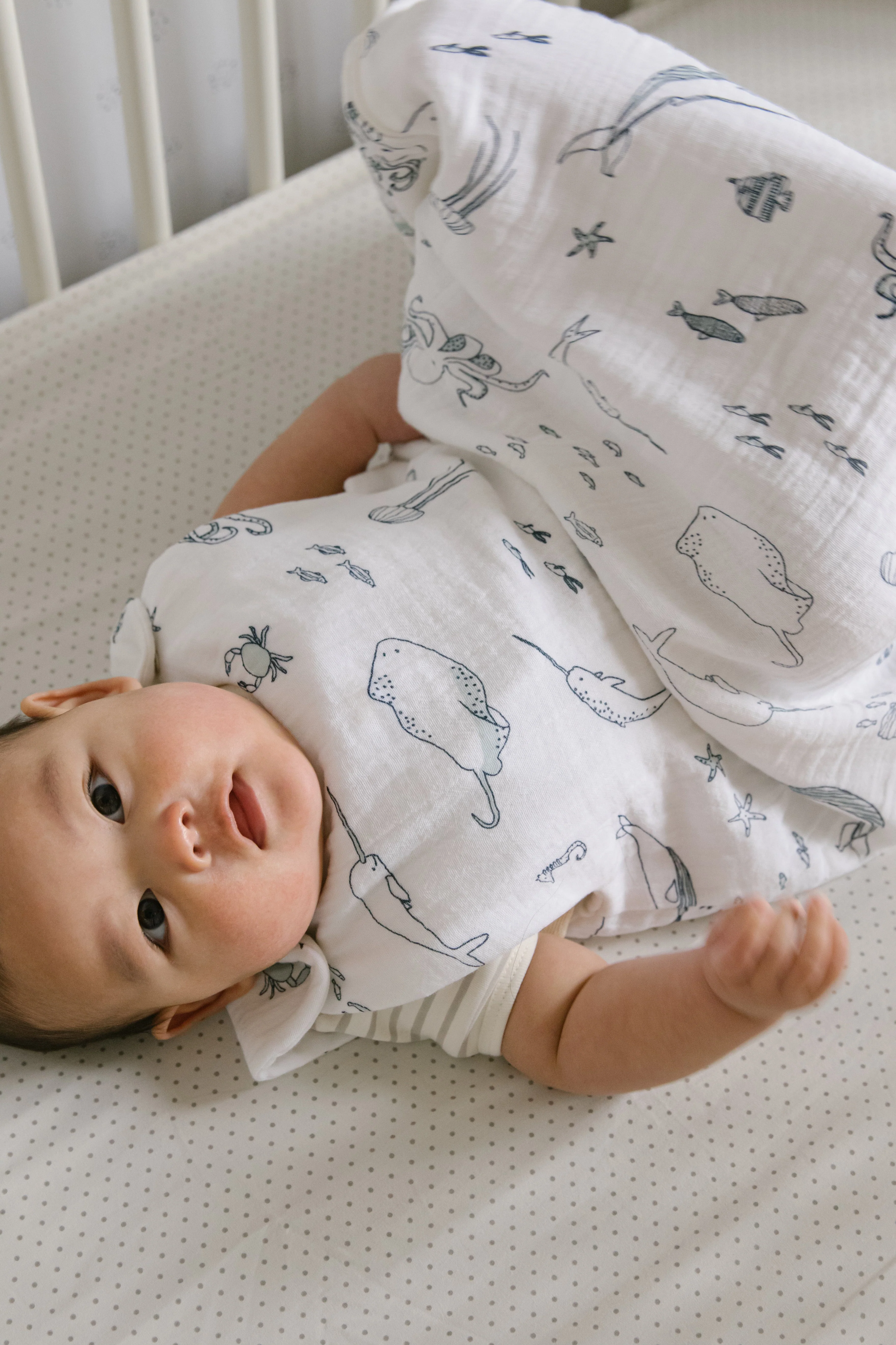 1.0 TOG Sleep Bag - Life Aquatic - Image 3