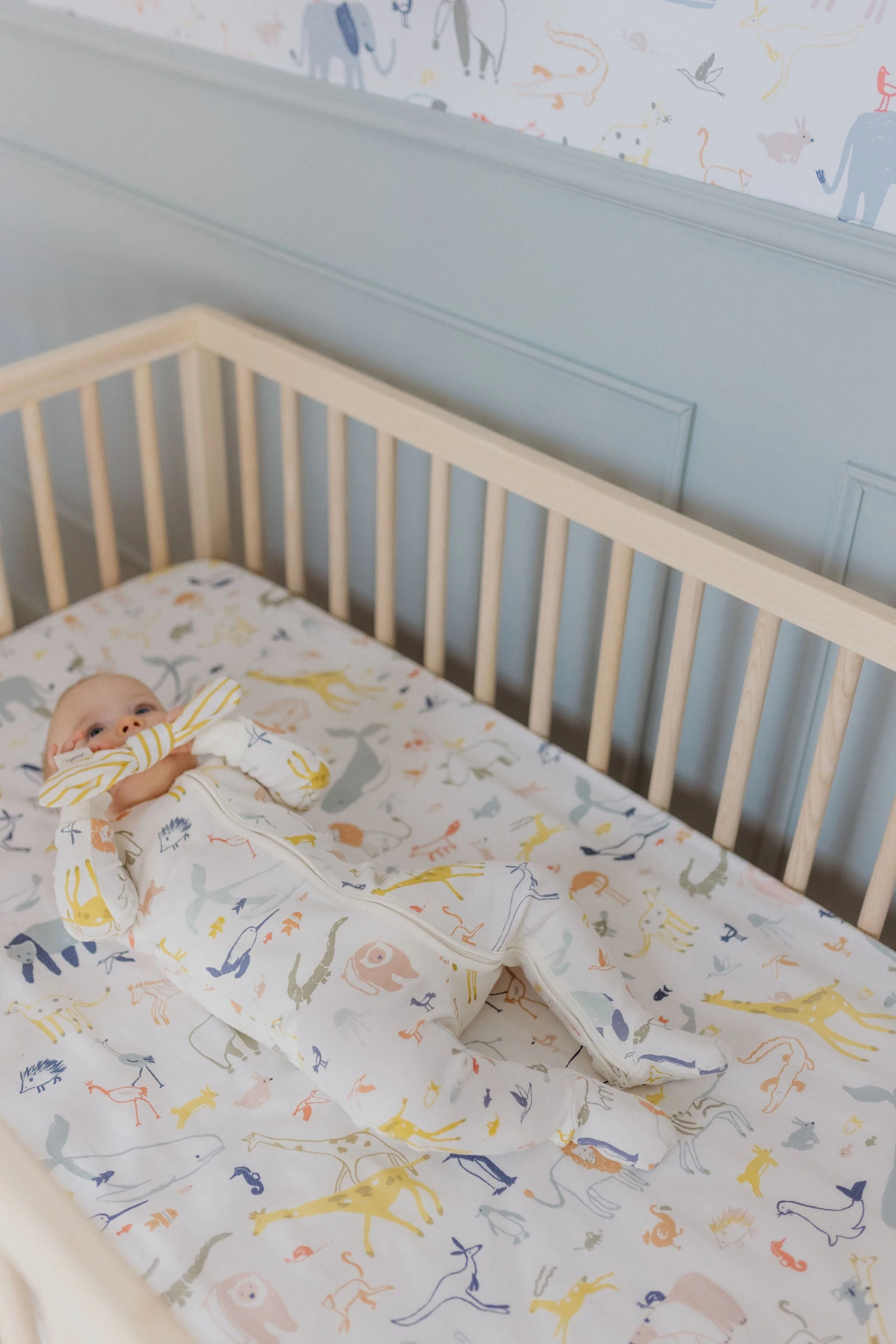 Crib Sheet - Into The Wild - Image 4