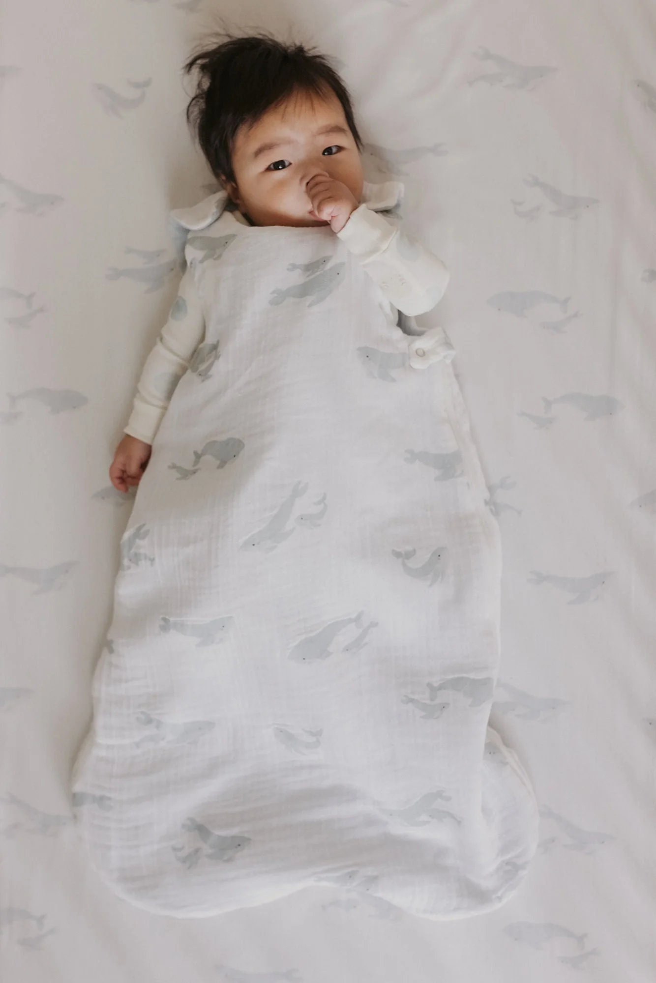 1.7 TOG Sleep Bag - Follow Me Whale - Image 4