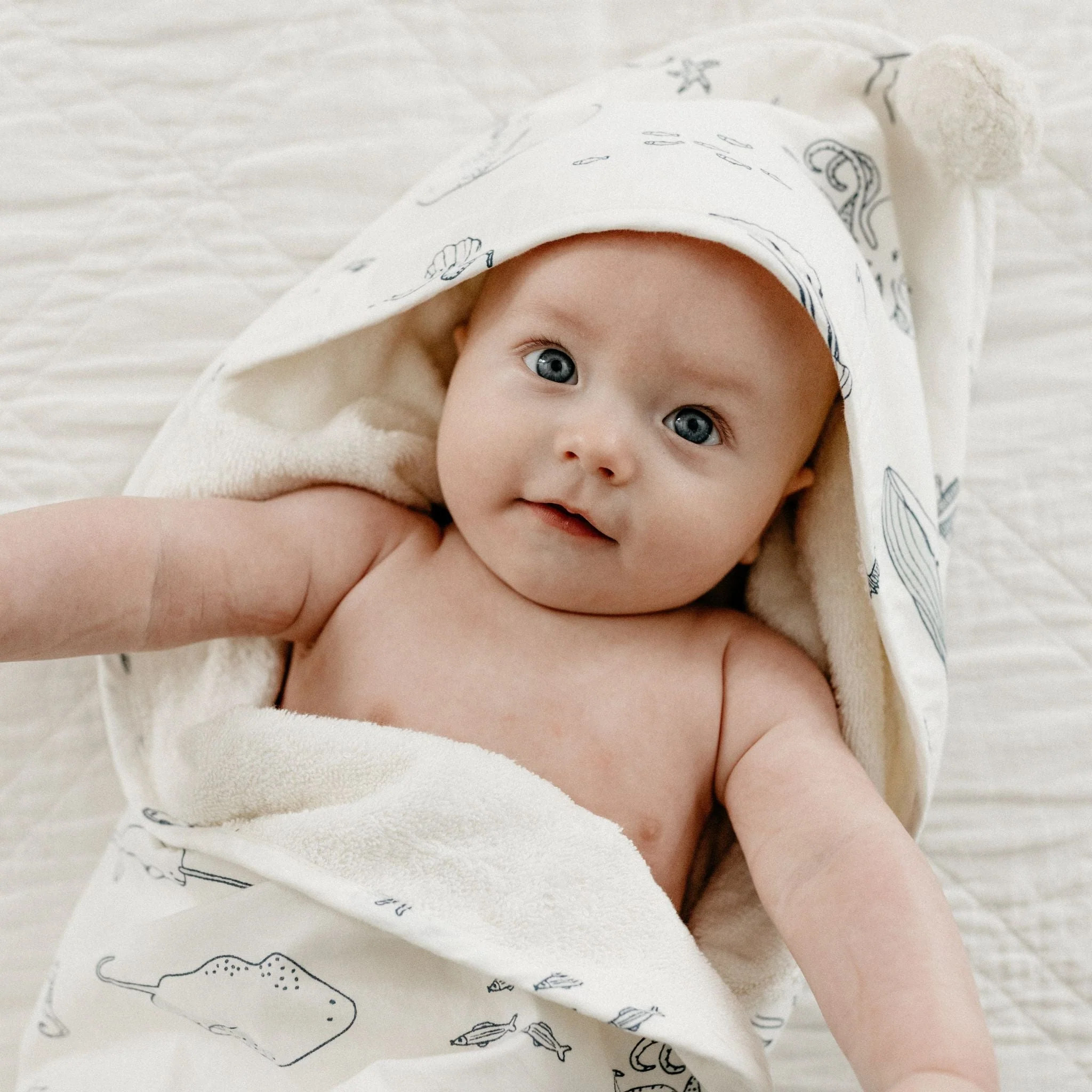 Hooded Towel - Life Aquatic - Image 4
