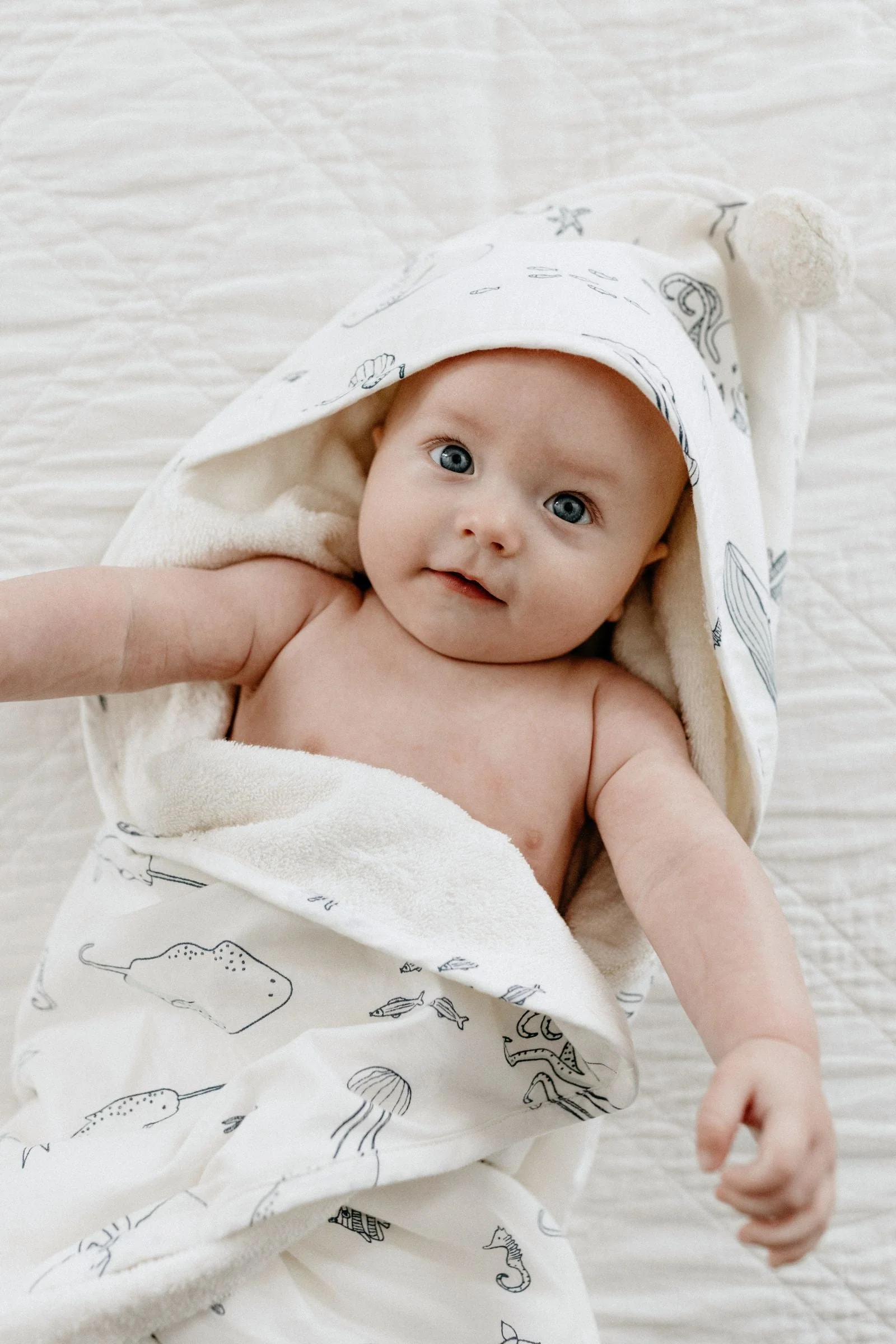 Hooded Towel - Life Aquatic - Image 5