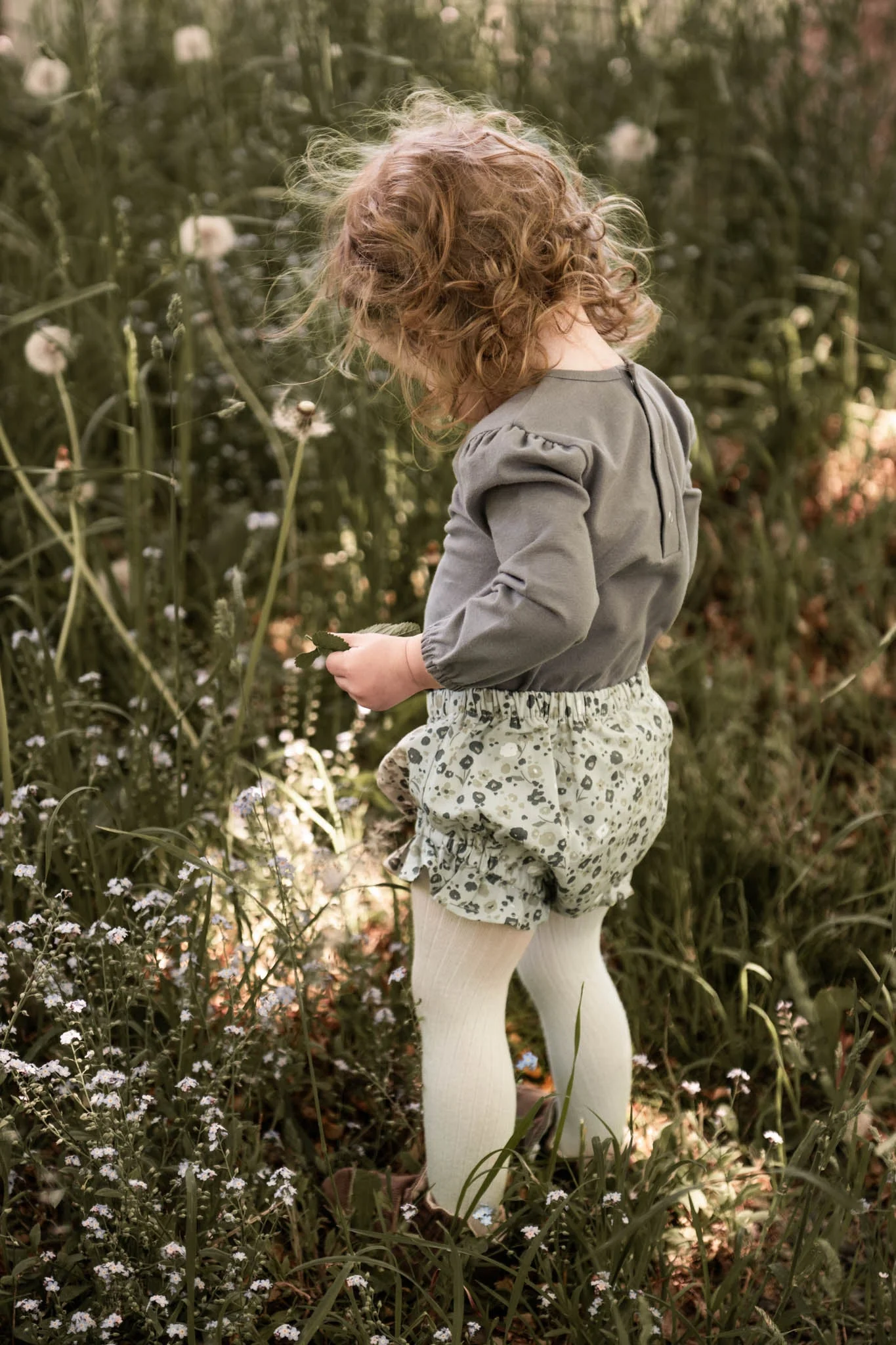 Ruffle Bloomer - Forget Me Not - Image 4
