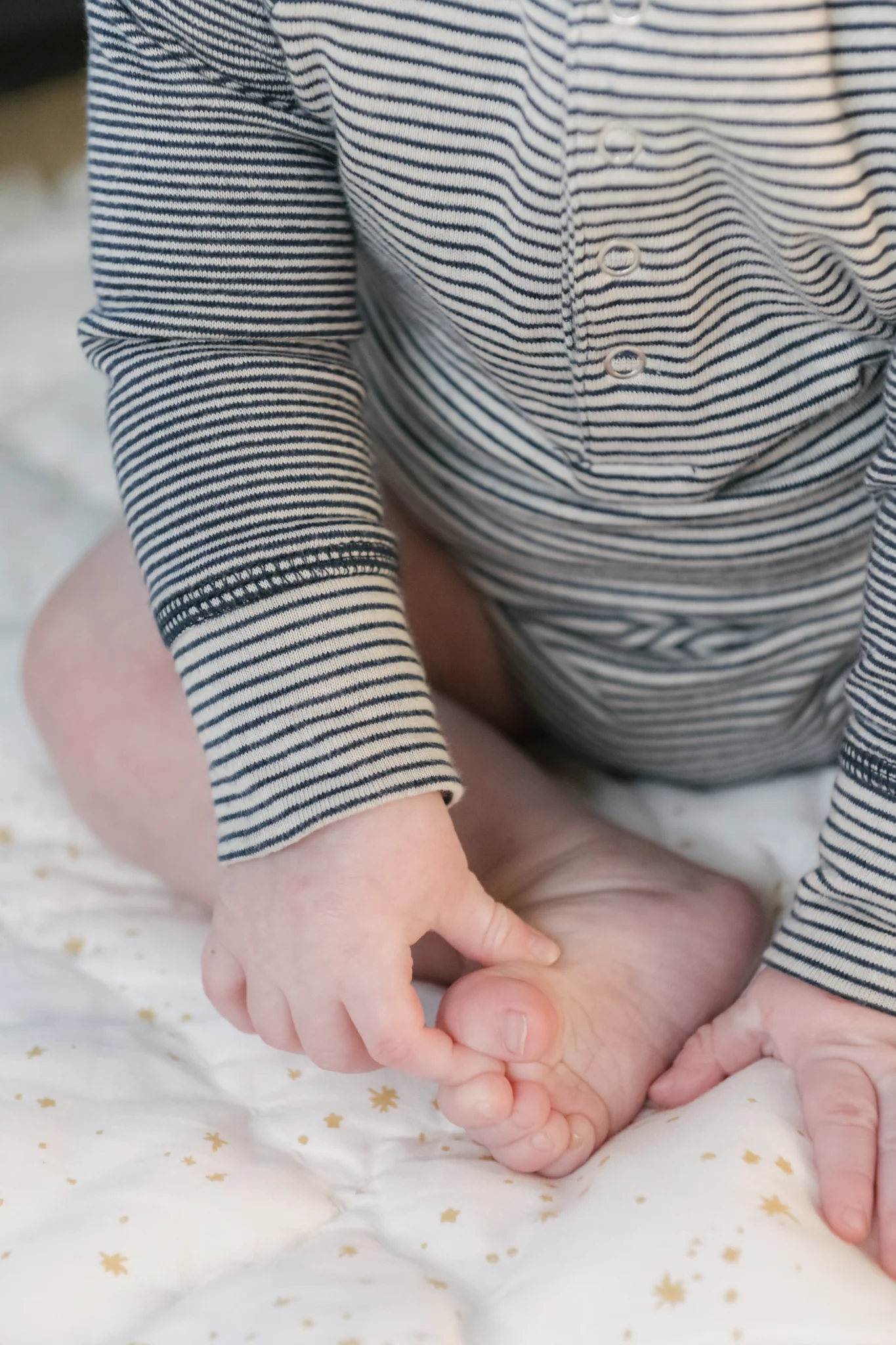 Sailor Stripe Bundle - Ink - Image 2