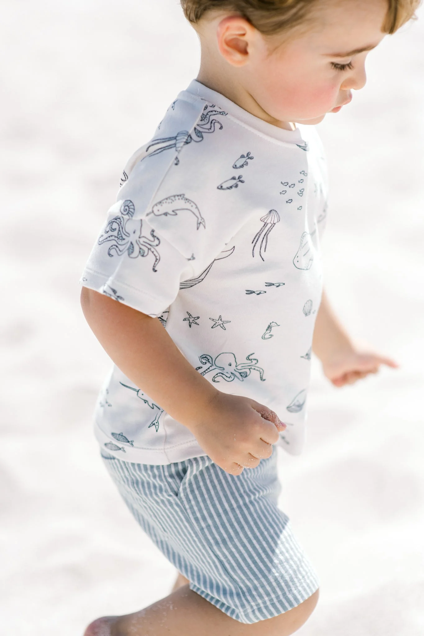 Seersucker Shorts - Marine Blue - Image 4